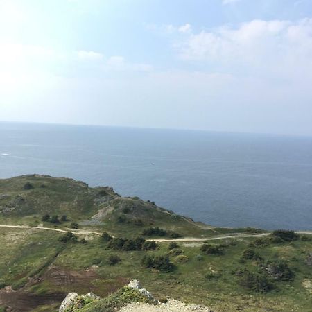 Mermaid Inn Bnb Twillingate Ngoại thất bức ảnh